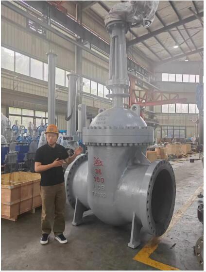 行走閥門江湖數十載！挺宇流體智能化新工廠預計2026年10月投入使用，開啟文化傳播新篇章